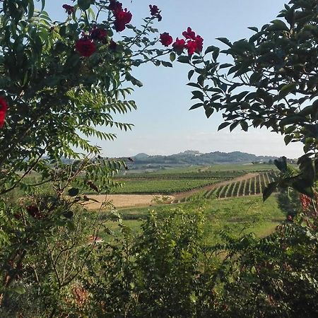 Agriturismo La Chiesina Аббадия-ди-Монтепульчано Экстерьер фото