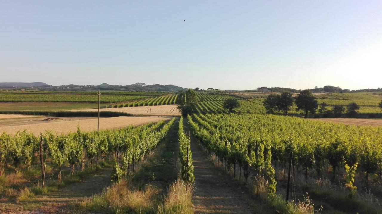 Agriturismo La Chiesina Аббадия-ди-Монтепульчано Экстерьер фото